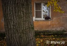 Дожди задержатся вплоть до выходных