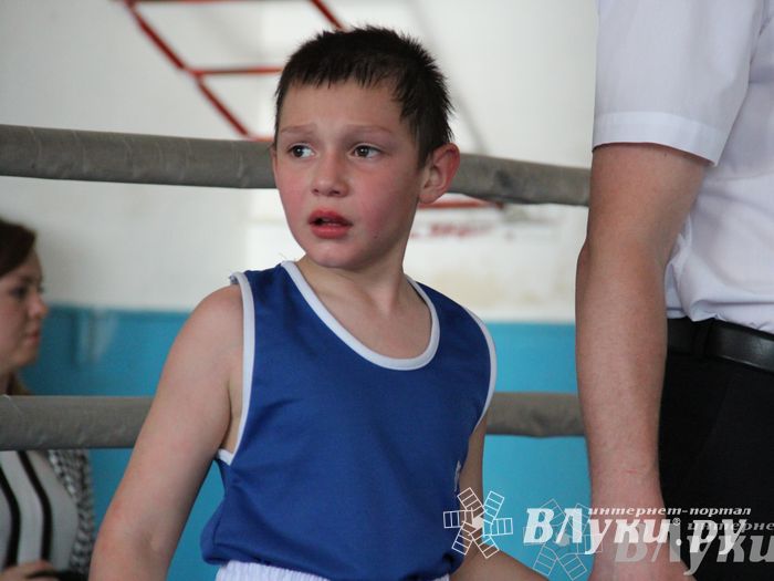 Первенство города по боксу