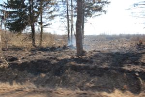 Великолукский район полыхает (ФОТО; ВИДЕО)