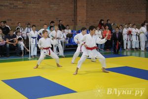 Великолучане стали победителями турнира по каратэ «Неприкосновенный запас, дети — Отчизны 2015» (фото)