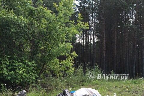 Особенности национальной дороги (ФОТО)