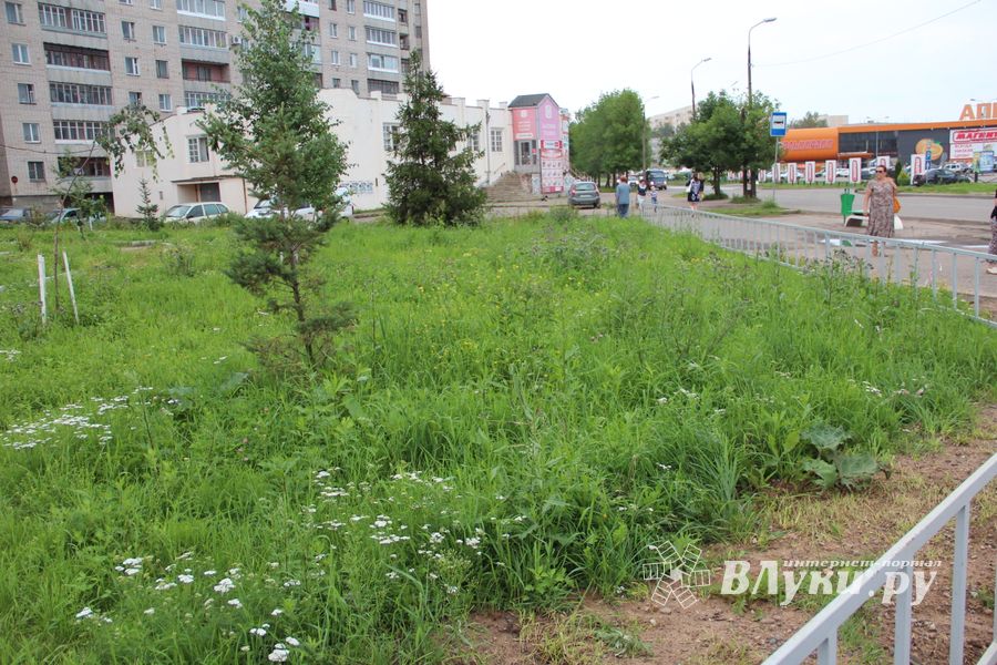 Новый арт-объект появился в Великих Луках (ФОТО)