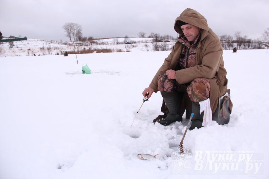 Подведены итоги Открытого чемпионата Великих Лук по рыболовному спорту (фото)