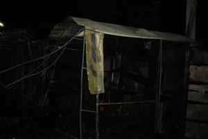 Великие Луки горели (фото)