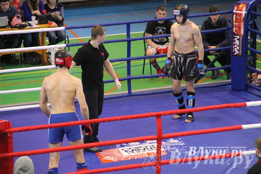 В Великих Луках прошел межрегиональный Открытый Кубок по смешанному боевому единоборству (фото)