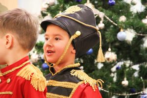 новый год в саду