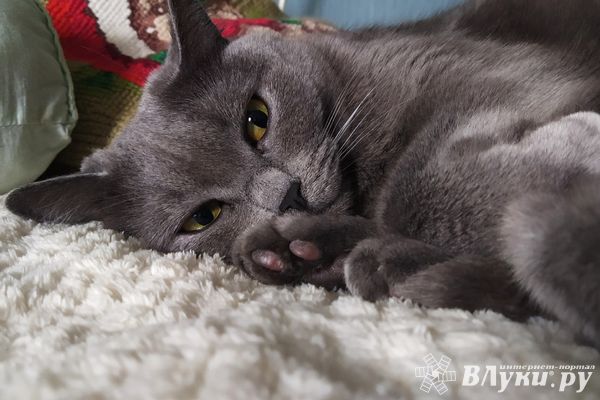 Учёные предупреждают о магнитных бурях