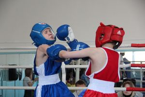 В Великих Луках завершился открытый турнир по боксу (ФОТО)
