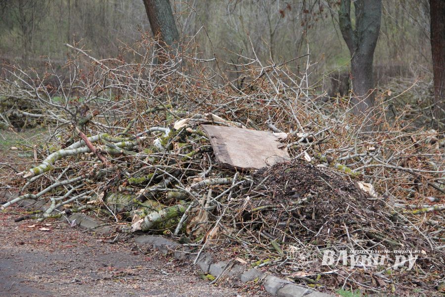 На острове Дятлинка проходит субботник