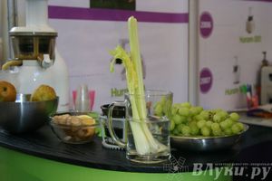 Состоялось открытие выставки «ПсковЭКСПО — 2014» (ФОТО)