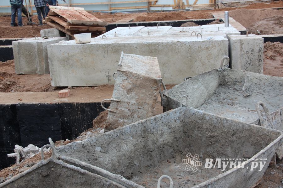 В скором времени нерадивых великолучан станет проще изолировать (ФОТО)