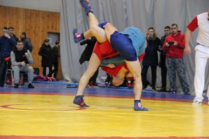 Всероссийские соревнования по самбо проходят в Великих Луках (ФОТО, 0+)