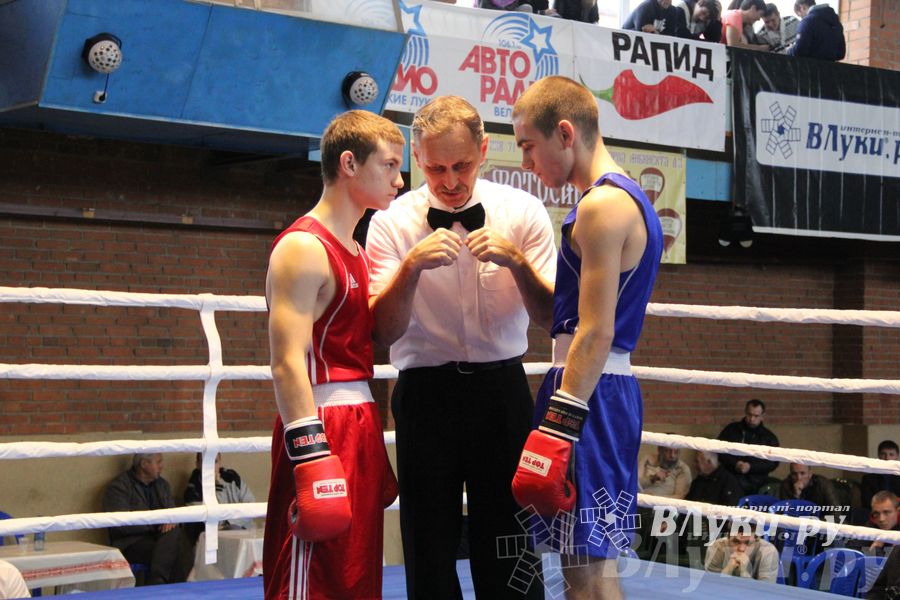 16-й Международный турнир по боксу (фото)