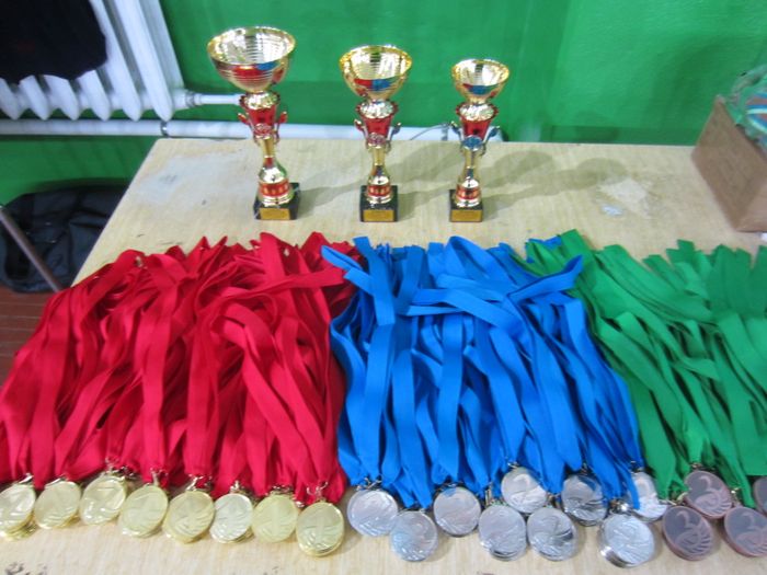 Великолукские каратисты отличились на Кубке ДОСААФ в Твери (ФОТО)