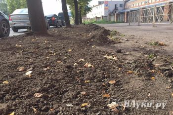 Фотофакт: В Великих Луках на проспекте Октябрьском перерыты газоны