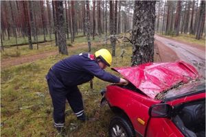 6 человек погибли, 42 пострадали на дорогах Псковской области за неделю (фото)