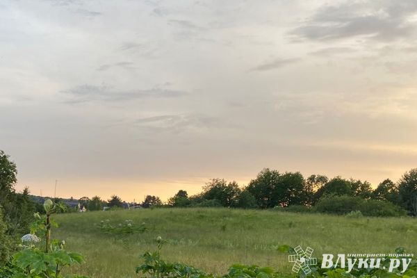 Псковские аграрии засеют более 210 тыс гектаров земли