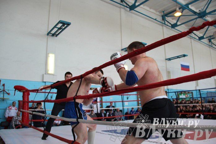 Чемпионат Псковской области по ММА