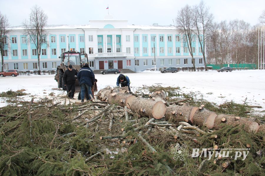 Главная городская ёлка отправилась на свалку (ФОТО)