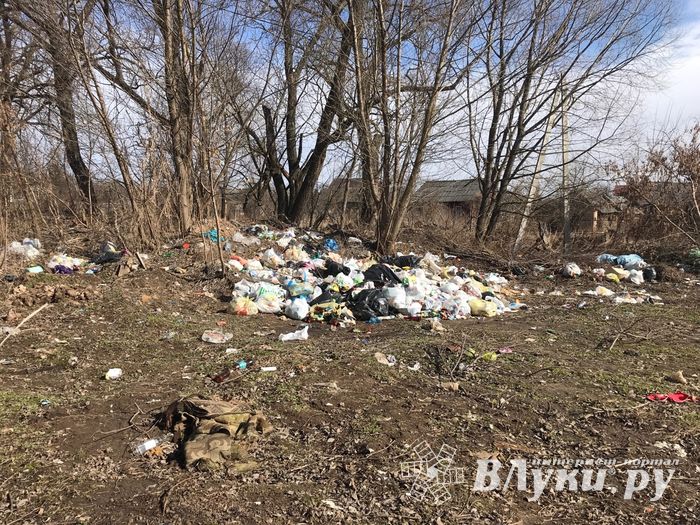 На набережной Лазавицкой угрожающе растёт помойка (ФОТО)