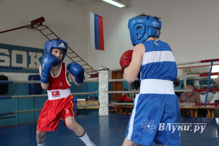 В Великих Луках прошло Первенство города по боксу (ФОТО)