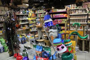 «Zooбастики»: подарите праздник своим любимцам! (ФОТО+ВИДЕО)