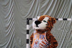 Чемпионат ШБЛ «КЭС-БАСКЕТ» сезона 2013-2014 гг.  Псковской области