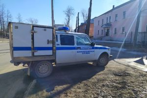 Учеников школы №6 в Великих Луках эвакуировали (ФОТО)