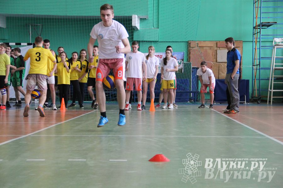 В Великих Луках прошли соревнования на Кубок Красного Креста