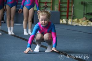 В Великих Луках состоялось Первенство по командной гимнастике (фото)