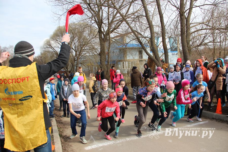 В Великих Луках прошёл легкоатлетический кросс (ФОТО)