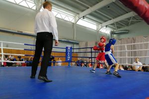 1-й Фестиваль боевых искусств состоялся в Великих Луках  (ФОТО)