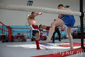 Чемпионат Псковской области по ММА