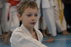 В Великих Луках прошел Открытый чемпионат Псковской области по каратэ