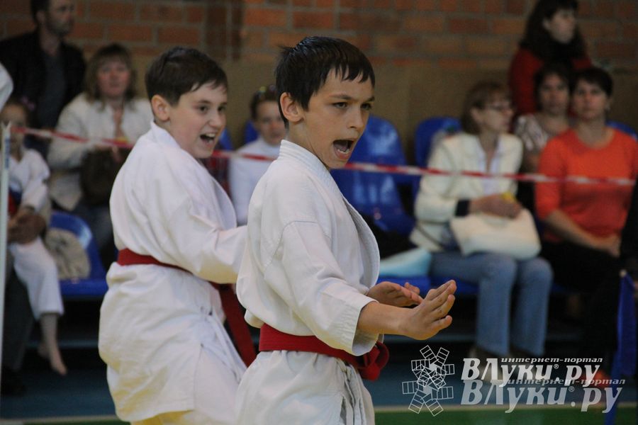 Великолучане стали победителями турнира по каратэ «Неприкосновенный запас, дети — Отчизны 2015» (фото)