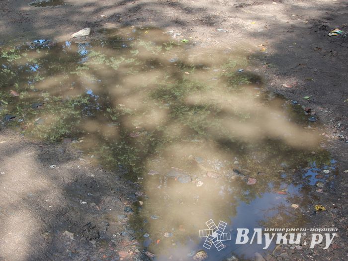 Великие Луки после дождичка в четверг (ФОТО)