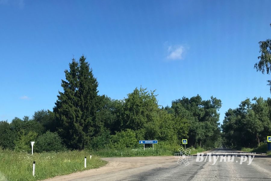 Трава у дома (ФОТО)