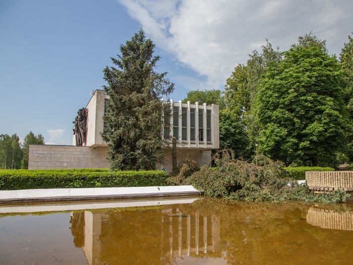 Небезразличные великолучане помогают убрать город после урагана (ФОТО)