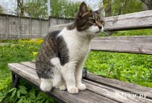 Прогноз погоды на 16 мая в Великих Луках