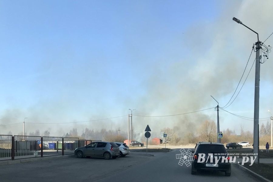 Пал травы угрожает строениям в Северном микрорайоне (ФОТО; ВИДЕО)