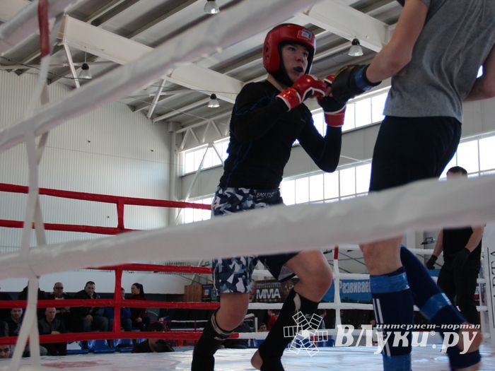В Великих Луках проходит открытый кубок по смешанному боевому единоборству ММА (ФОТО) (12+)