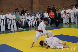 Великолучане стали победителями турнира по каратэ «Неприкосновенный запас, дети — Отчизны 2015» (фото)