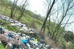 ​Великолучане продолжают жаловаться на свалки (ФОТО)