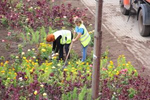 В Великих Луках сажают, стригут и красят (ФОТО)