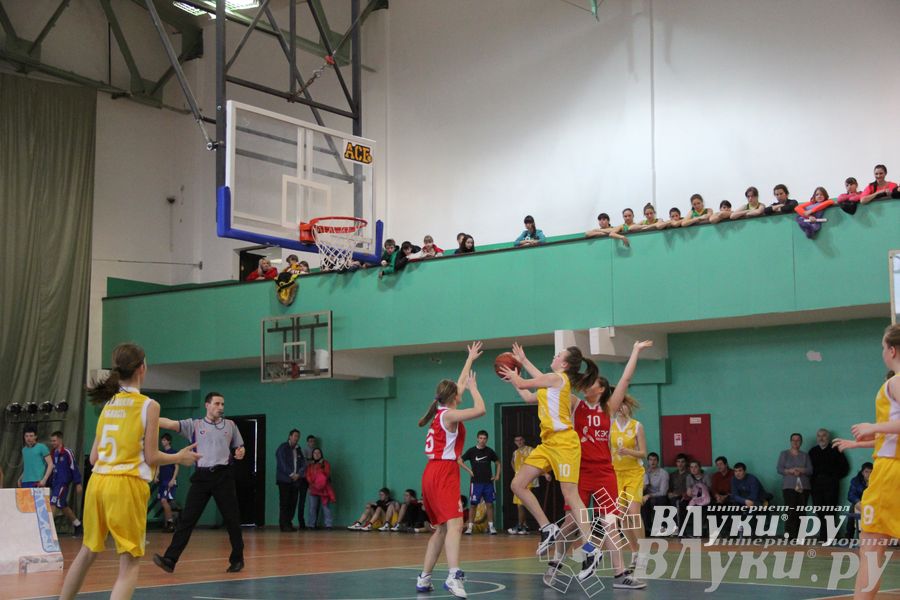 Чемпионат ШБЛ «КЭС-БАСКЕТ» сезона 2013-2014 гг. Псковской области