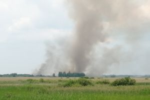© ВЛуки.ру