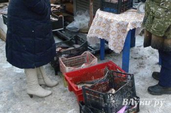 На псковском рынке «Маяк» снова выявлена незаконная торговля водными биоресурсами