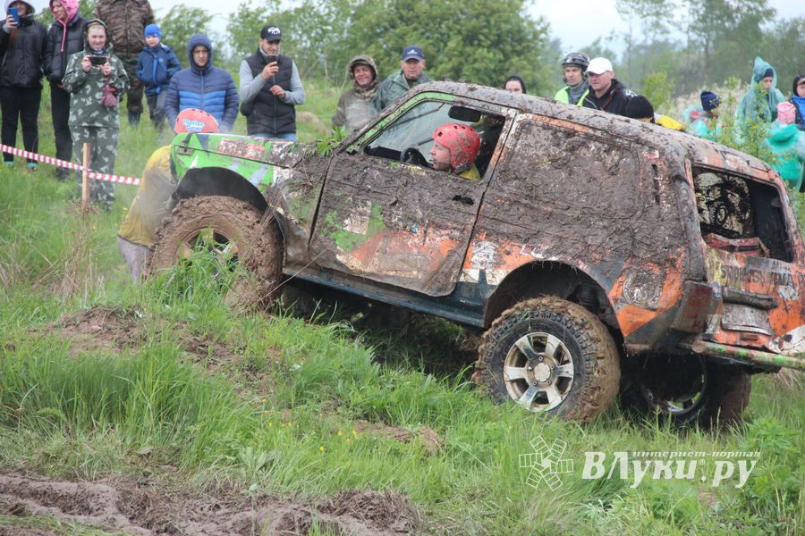 Кураж (ФОТО)