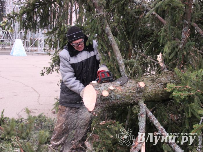 Необычное украшение сняли с главной ёлки Великих Лук (ФОТО)