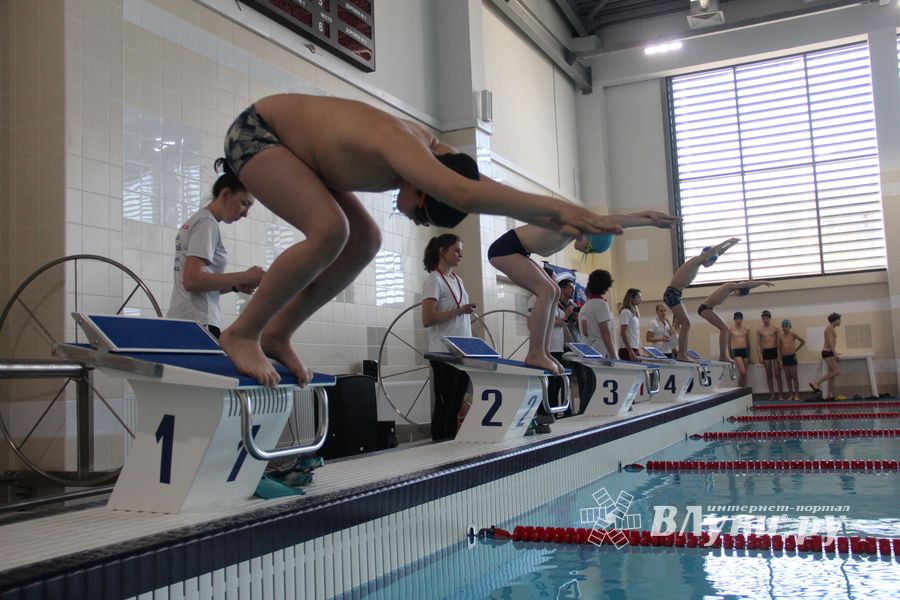 В «Айсберге» прошло Первенство города по плаванию (ФОТО)